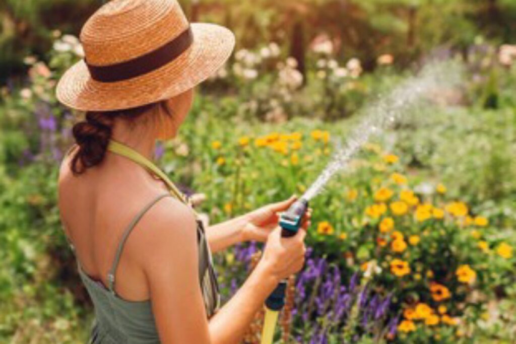 Un giardino veloce e facile da tenere, ecco tutti i trucchi