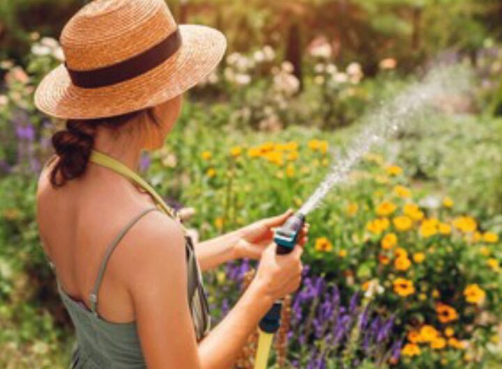 Un giardino veloce e facile da tenere, ecco tutti i trucchi