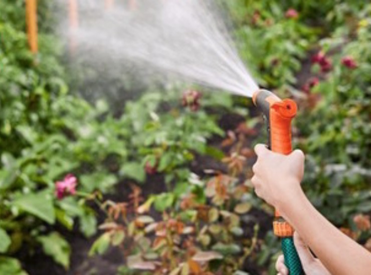 Giardino facile e veloce, le piante e i trucchi giusti per averlo