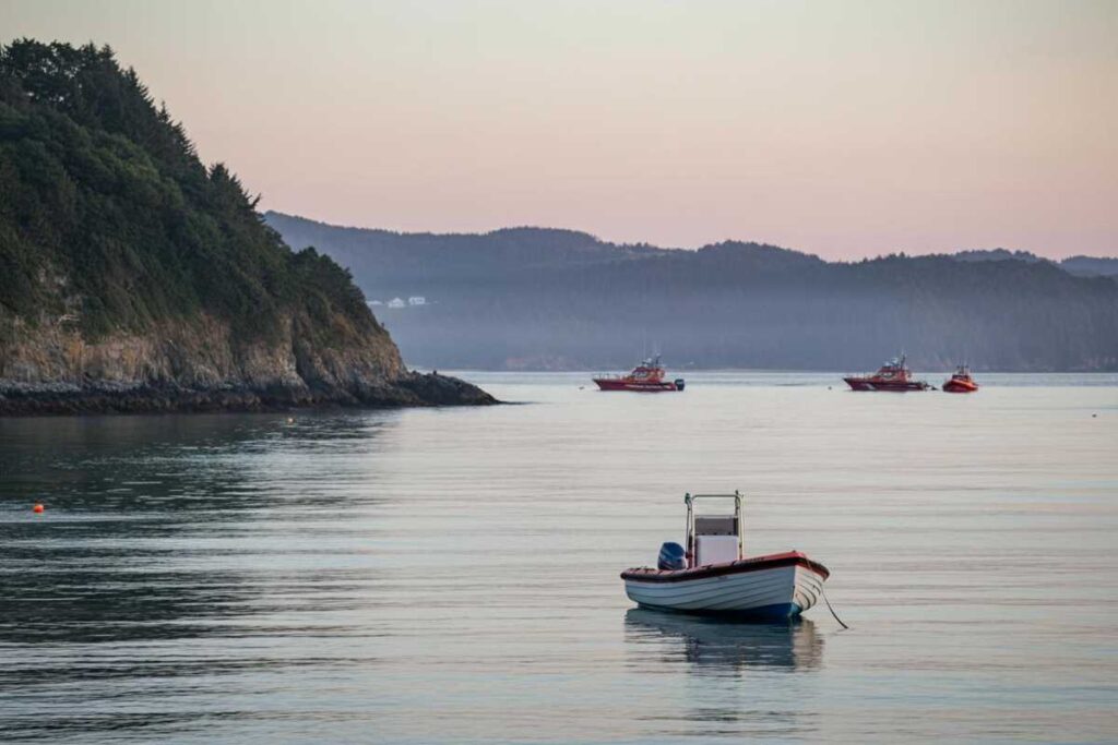 Disperso in mare: ricerche in corso per un 63enne scomparso dopo un'uscita in barca all'Isonzo